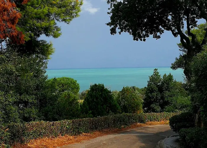 View Πανσιόν Numana